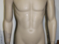 2 x half body man mannequin - afbeelding 1 van  2