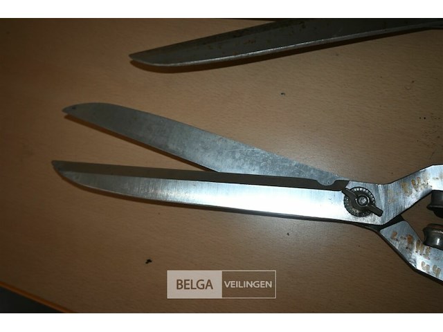 2 x heggenschaar - afbeelding 2 van  4