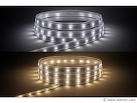 2 x led strip – 25 meter – 10w/m – wit & warm wit – ip65 waterdicht - afbeelding 1 van  5