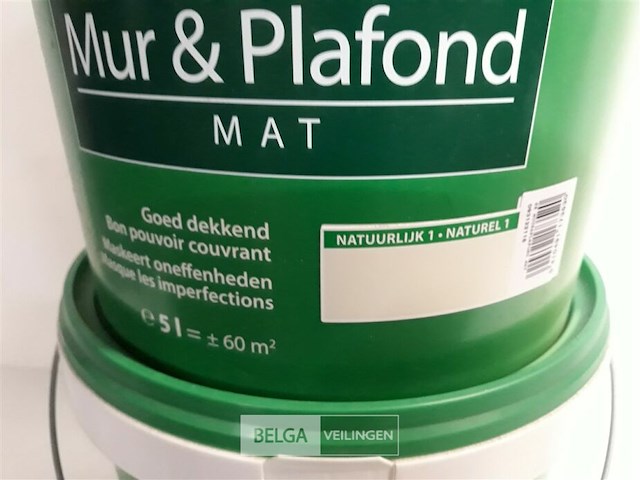 2 x muur en plafond verf stelatex 5l - afbeelding 3 van  3