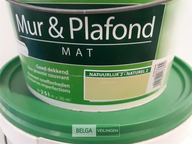 2 x muur en plafond verf stelatex - afbeelding 3 van  3