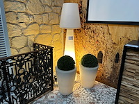 2 x nep buxus en 1 lamp - afbeelding 1 van  5