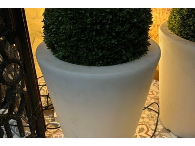2 x nep buxus en 1 lamp - afbeelding 2 van  5