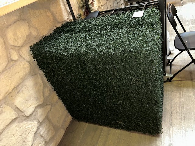 2 x nepstruik - afbeelding 1 van  3