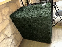 2 x nepstruik - afbeelding 1 van  3