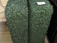 2 x nepstruik - afbeelding 3 van  3