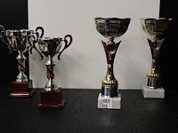 2 x trofee - afbeelding 1 van  1