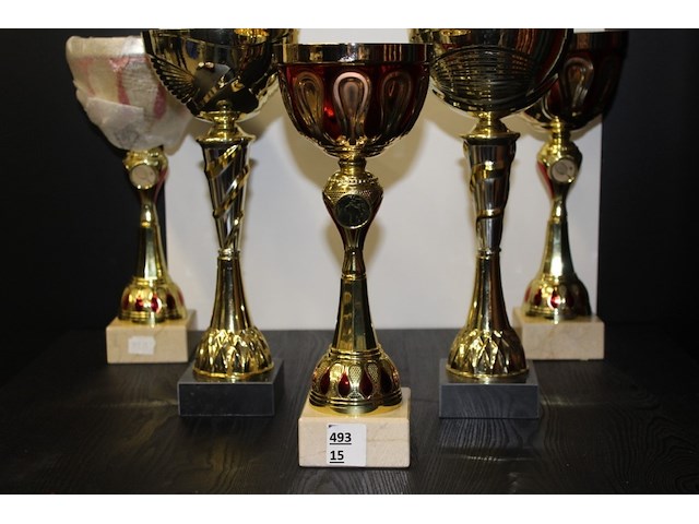 2 x trofee - afbeelding 1 van  2