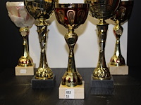 2 x trofee - afbeelding 1 van  2