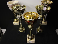 2 x trofee - afbeelding 2 van  2