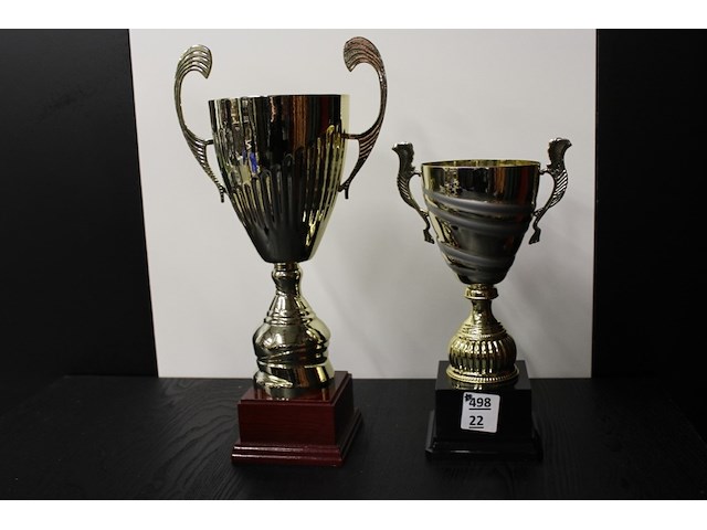 2 x trofee - afbeelding 1 van  2