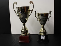 2 x trofee - afbeelding 1 van  2