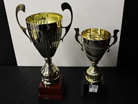 2 x trofee - afbeelding 2 van  2