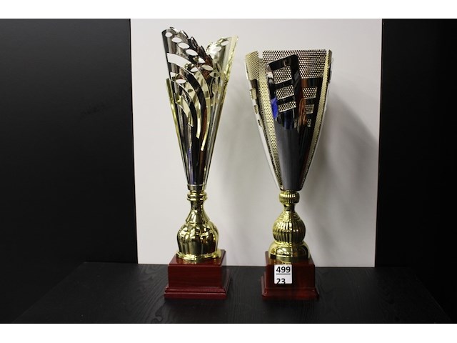 2 x trofee - afbeelding 1 van  2