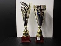 2 x trofee - afbeelding 1 van  2