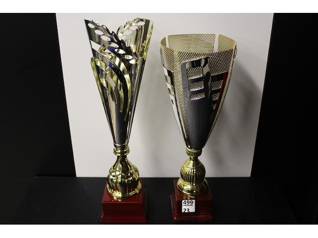 2 x trofee - afbeelding 2 van  2