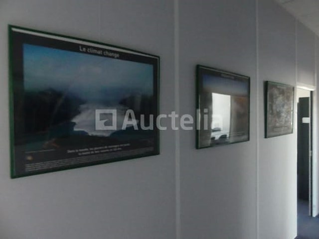 20 decoratieve wandkozijnen - afbeelding 4 van  8