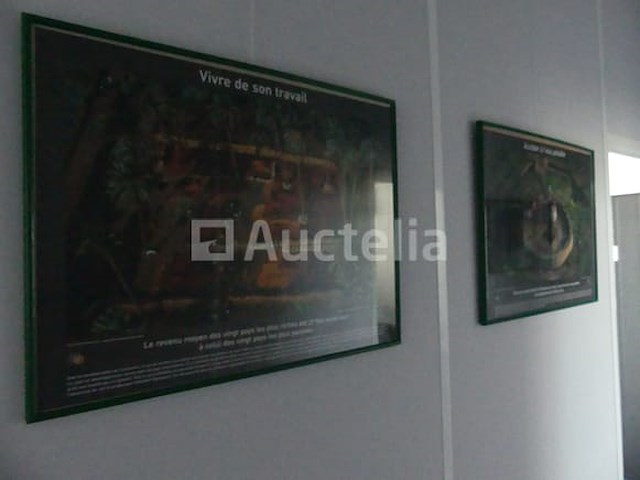 20 decoratieve wandkozijnen - afbeelding 7 van  8