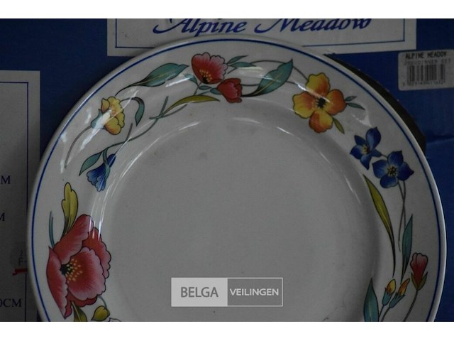 20 delig service - afbeelding 3 van  4