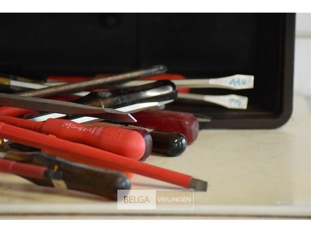 ±20 div schoevendraaiers - afbeelding 2 van  4