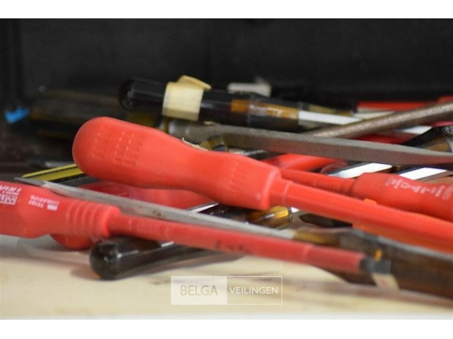 ±20 div schoevendraaiers - afbeelding 3 van  4