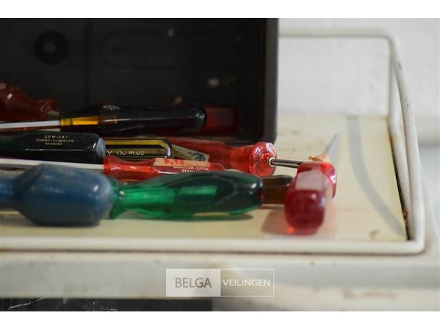 ±20 div schoevendraaiers - afbeelding 2 van  5