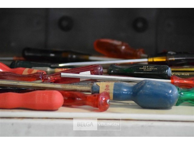 ±20 div schoevendraaiers - afbeelding 3 van  5