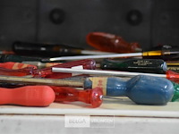 ±20 div schoevendraaiers - afbeelding 3 van  5