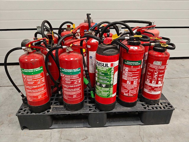 20 diverse brandblussers op pallet - afbeelding 1 van  8