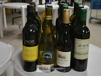 ±20 flessen diverse wijnsoorten - afbeelding 1 van  4