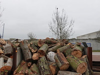 20 m3 brandhout - afbeelding 1 van  1