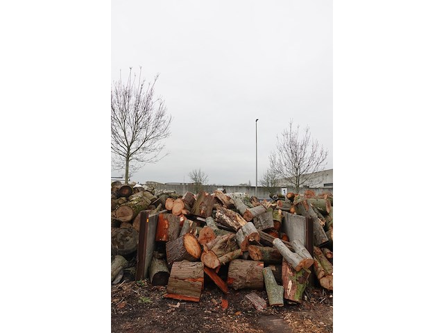 20 m3 brandhout - afbeelding 1 van  1