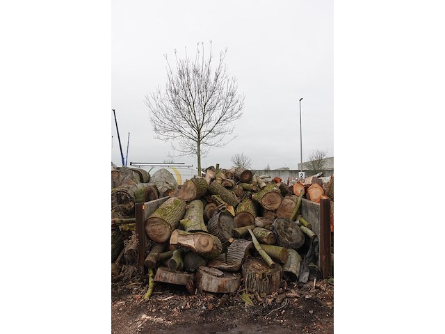 20 m3 brandhout - afbeelding 1 van  1