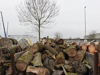 20 m3 brandhout - afbeelding 1 van  1