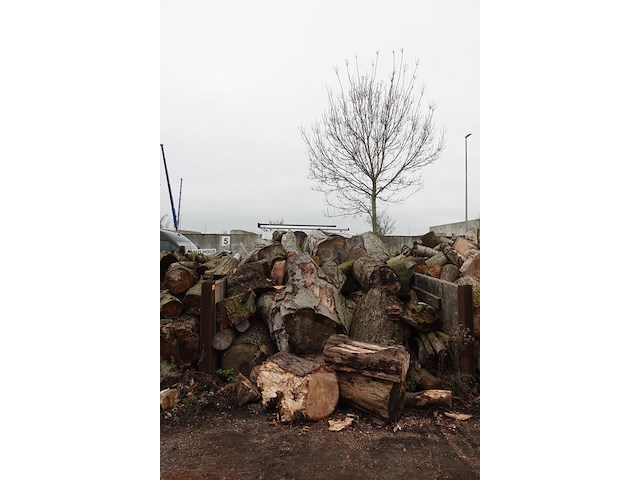 20 m3 brandhout - afbeelding 1 van  1