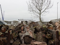 20 m3 brandhout - afbeelding 1 van  1
