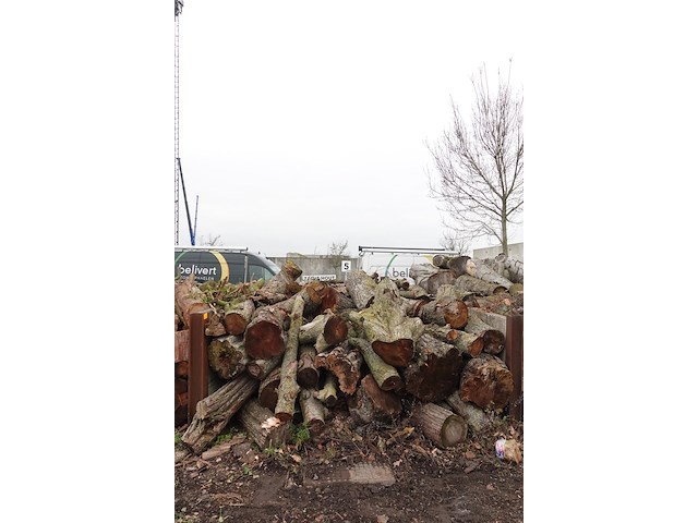 20 m3 brandhout - afbeelding 1 van  1