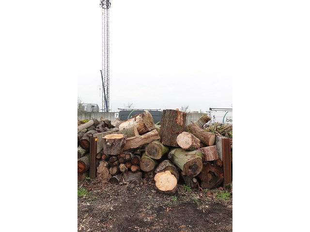 20 m3 brandhout - afbeelding 1 van  1