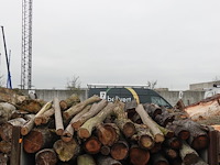 20 m3 brandhout - afbeelding 1 van  1