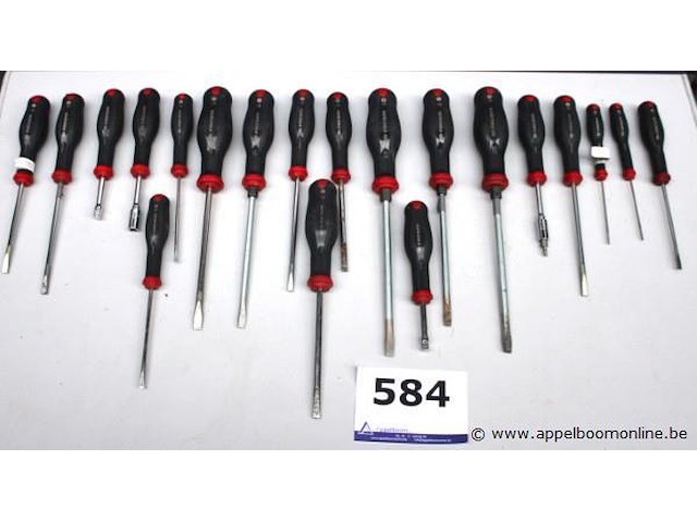 20 schroevendraaiers facom - afbeelding 1 van  4