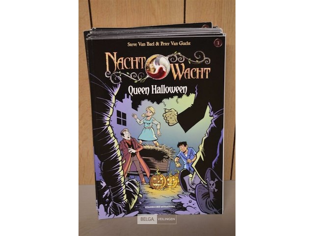 ±20 stripverhalen; de nachtwacht - afbeelding 1 van  3