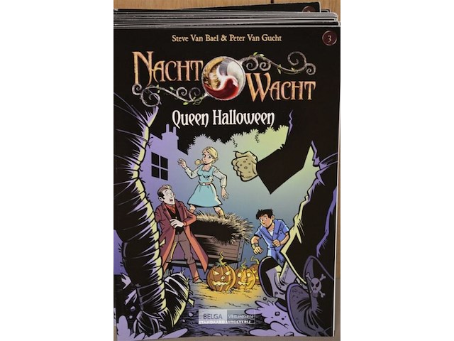 ±20 stripverhalen; de nachtwacht - afbeelding 2 van  3