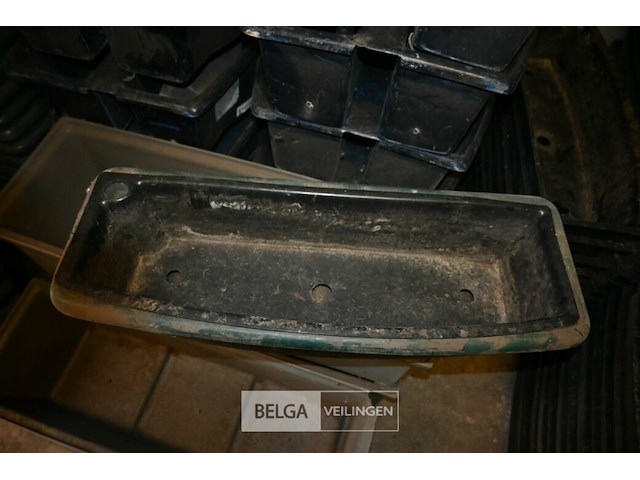 20 x kunststof plantenbak - afbeelding 6 van  10