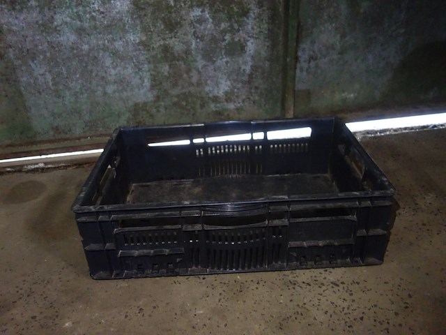 20 zwarte bakken - afbeelding 3 van  3