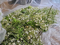 200+ artificiële bloemen en groen - afbeelding 2 van  10