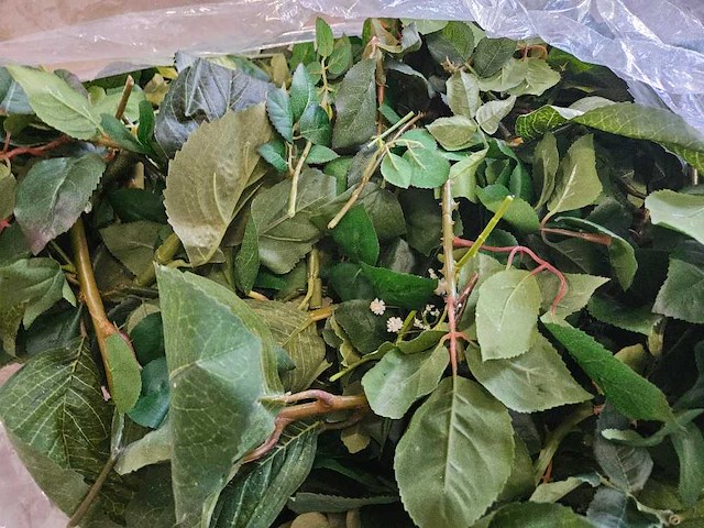 200+ artificiële bloemen en groen - afbeelding 3 van  10