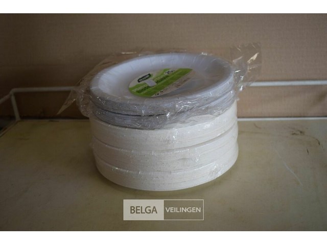 ±200 kartonnen bordjes - afbeelding 1 van  3