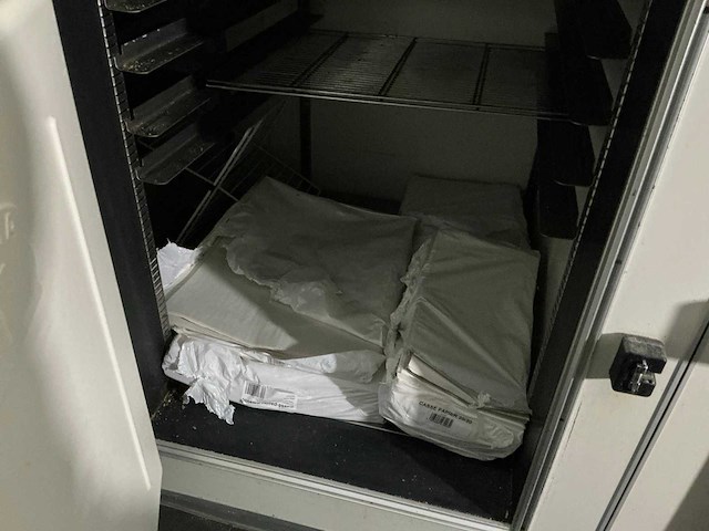 2000 koma h4-t8/mono vriezer - afbeelding 7 van  8