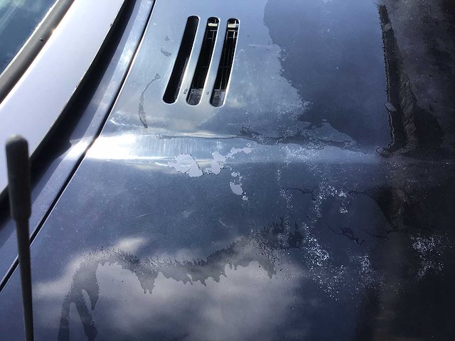 2000 mg mgf vintage auto's > 15 - afbeelding 7 van  14