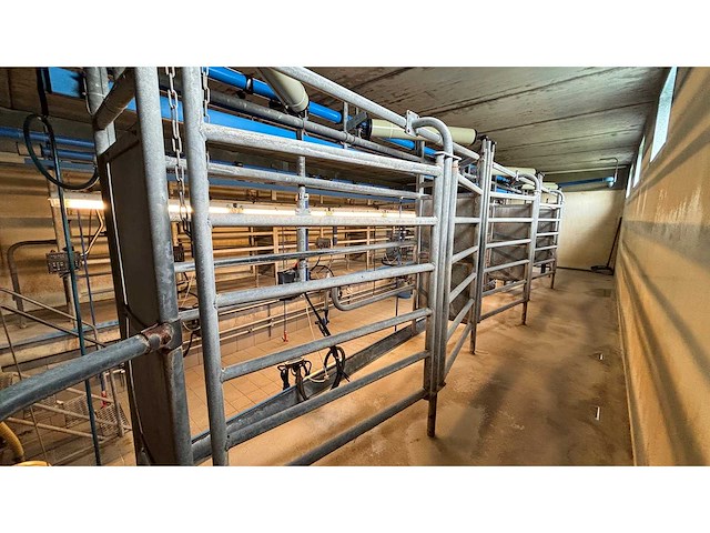 2001 delaval tandem melkinstallatie (7 boxen) - afbeelding 17 van  32